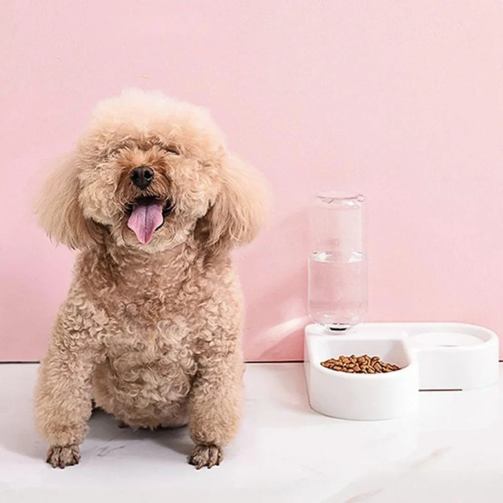 2- In -1 Automatic Pet Feeder and Water Bowl - 500ml Slow Feedling Bowl for Cats and Dogs