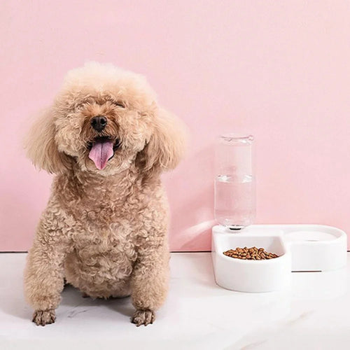 2- In -1 Automatic Pet Feeder and Water Bowl - 500ml Slow Feedling Bowl for Cats and Dogs