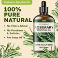 100% Pure Rosemary Essential Oil - Hair Growth, Scalp and Skin Care