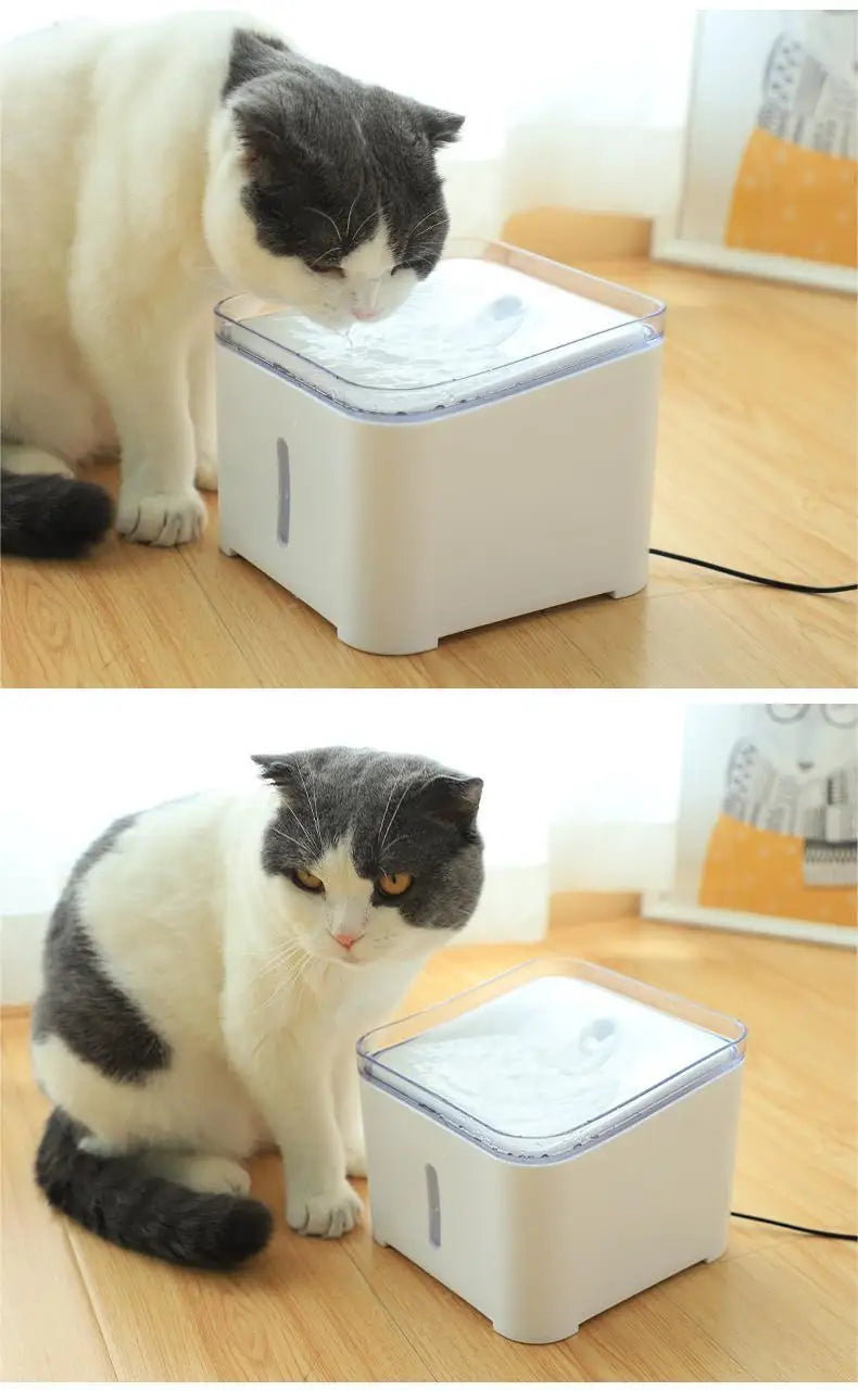 😺🐶 2L Automatic Pet Water Fountain with Filter and LED Light